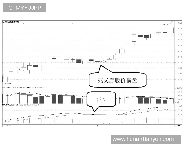 高士路与小保加的对决分析与战术探讨，揭示比赛背后的深层次因素