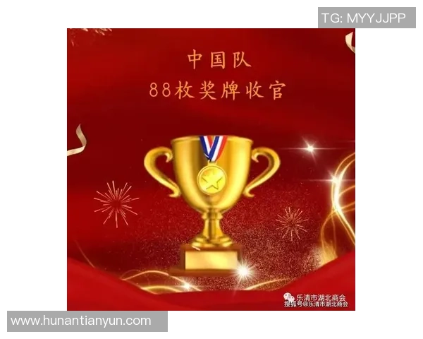 成都羽毛球队的转型之路：深度解析与未来展望